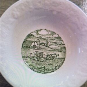 Vintage Farmhouse Green and White Dinner Plate